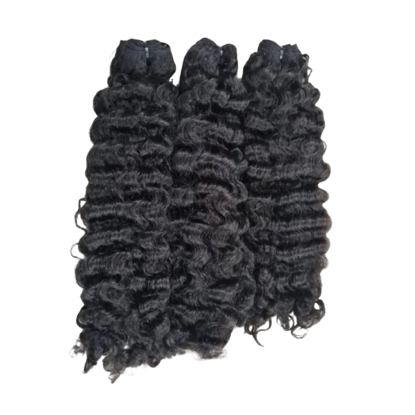 Burmese Curly